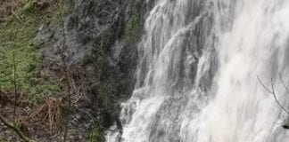 Cardigan veteran completes three months of icy dips to raise over £4,000 for homelessness charity Crisis image004 1