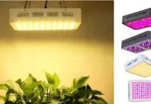 Which Cannabis Gadget Is Ideal For You? led light