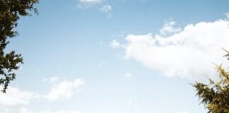 Astudiaeth o effaith Covid-19 ar weithgarwch corfforol ac iechyd meddwl plant pexels dominika roseclay 2682543 scaled