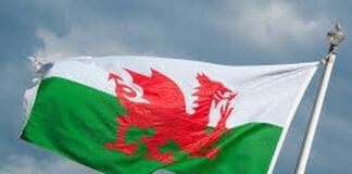Chamber joins call for government to save the economy from crisis welsh flag1
