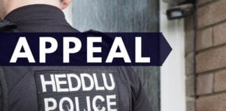 Police appeal for information following Llanelli incident 175549133 3839530279415582 4061529045960029239 n
