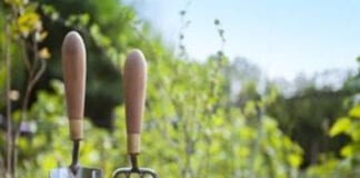 NEW LEASE OF LIFE FOR GROWING SPACE IN LLWYNHENDY 177404117 1396495207374899 919911654667639395 n