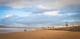 IMPORTANT INFORMATION FOR DOG OWNERS – ANNUAL ABERAVON BEACH DOG ORDER COMES INTO PLACE ON MAY 1ST 247 Featured Image 9 scaled 1