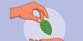 Why Should You Opt For Kratom To Tackle Diabetes? 24951457 web1 TSR SEA 20210423 Best Kratom for Pain 1302