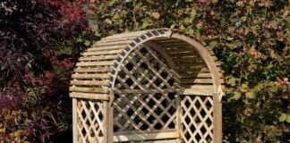 GET YOUR GREEN FINGERS AT THE READY THIS GARDENING WEEK 318197