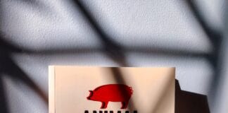 Animal Farm voted the nation’s favourite school book Animal Farm scaled