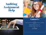 Best Assignment Experts