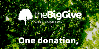 Cyllid Green Match yn rheswm arall dros fynd yn Wyllt am Goetiroedd GREENMATCH