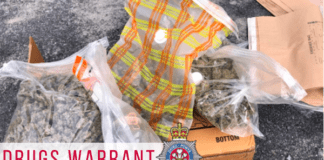 Gwerth £11,000 o ganabis yn cael ei ganfod mewn cartref yn Sir Gaerfyrddin cross hands warrant