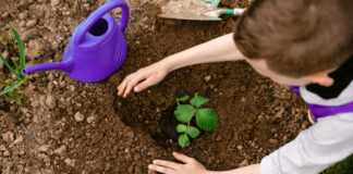 Oxford Farming Conference Inspire bursary delegates revealed iStock 1251173707