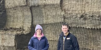 LLYSYFRAN DAIRY BUSINESS TAKES TOP SILAGE AWARD image0 Nigel Williams