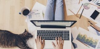 FUR-OCIOUS PETS COSTING OWNERS £500 IN HOME MISHAPS working from home article image 1 9afcde19