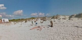 Hotels near nudist beaches could see UK holidaymakers caught with their pants down 0 Google Maps sunbathers