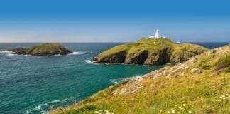 Partneriaeth elusennol newydd yn camu ymlaen 20 Strumble Head Small