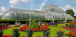 REVEALED: Europe’s Top-Rated Gardens 310px Flowers in front of the Palm House Kew Gardens
