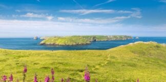 Have your say on a new National Park Vision 44 Deer Park 02 1