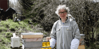 Small-scale diversified ventures can ‘bring home the bacon’ for smallholders – Farming Connect goes online for this year’s ‘virtual’ Royal Welsh Smallholding & Countryside Festival Farming