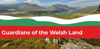 ‘Guardians Of The Welsh Land’ – FUW Campaign Highlights Farming’s Positive Environmental Impact Guardians of the Welsh Land ENG