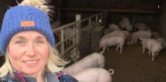 CEIDWAD MOCH YNG NGHYMRU YN CAEL HWB YCHWANEGOL Gwenno with pigs