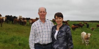 Herbal leys helping suckler beef farm finish cattle at pasture Huw and Meinir Jones who farm at Bryn Farm a Farming Connect Demonstration Site scaled