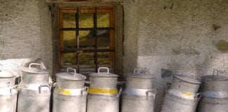 Celebrate Dairy For World Milk Day 2021 Says FUW Milk Dairy Farm