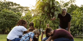 Taasai is Recruiting 40,000 Drivers in London, UK to tackle climate change bde3780bd79c3ecd30e3da003efcf60bcaf991f1