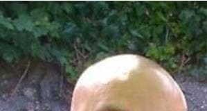 Swansea man dies in road traffic collision dean heaven