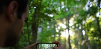 Insider Tips on Becoming a Successful Instagram Travel Influencer image1 5