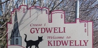 Cath Ddu Cydweli yn gwenu o glust i glust! 3387051 5d83a564