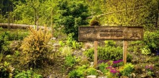 Transport for Wales launches Biodiversity Action Plan 4053c7b2e5bc49f99bb887e6611ddfe3