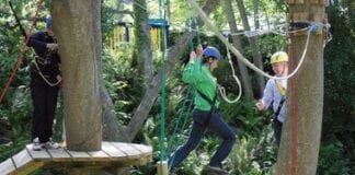 Haven’s late deals 6Ln51ZPe0lpNdhXiDl5epD