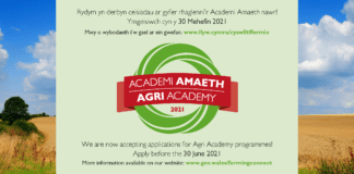 A ydych chi’n barod am her newydd, i fod yr unigolyn yr ydych yn dymuno bod? Mae’n bryd ymgeisio am le ar Academi Amaeth eleni! CFf AgriAcademy Graffeg