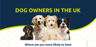 Bridgend and Newport Among UK’s Top 5 Pet Friendly Places To Live FURRY FRIENDS WBAH 03