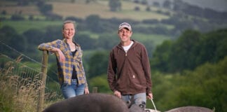 “If you can’t measure it, you can’t manage it”- a new online benchmarking programme designed to help pig producers in Wales manage their business Kyle and Lauren