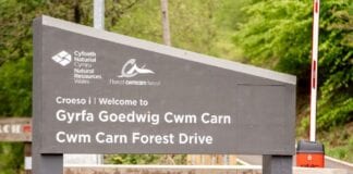 Cwmcarn Forest Drive reopens today! Post 1 Part 1