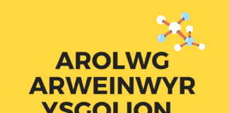 Arolwg i archwilio iechyd a lles penaethiaid ac uwch aelodau staff arwain yn ystod Covid-19 School Leaders Survey. logo. Welsh