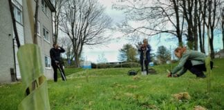 Newidiadau bach yn gwneud gwahaniaeth mawr ar Ddiwrnod Cynaliadwyedd y GIG Tree planting at Withybush