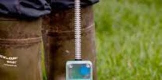 Plate meter the ‘go-to’ for grass data accuracy but trial shows satellite imagery is closing the gap download 2021 06 24T145409.149