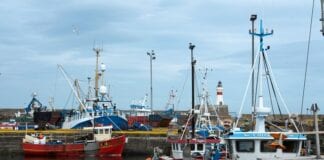 Profit and turnover down as UK fishing fleet weathers a challenging year eac9d6d7e9064336b3d2f65e02eac5f4