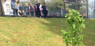 Pupils help plant fruit trees to help offset carbon emissions fruit7