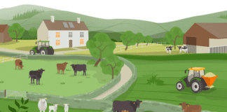 Ffermydd da byw yn edrych ar effeithlonrwydd cynhyrchu er mwyn lleihau allyriadau mobile stage