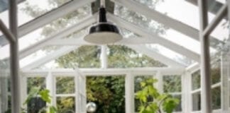 #WORLDWELLBEINGWEEK: 3 ZERO COST WELLBEING TIPS THAT WILL HAVE AN IMMEDIATE AND LONG LASTING EFFECT p1f8nkgm6d1e2a8n01nnkg761ta17.003