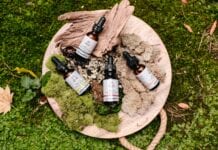 CBD & Delta-8 THC: What Are They and How Are They Different? pexels photo 3259600