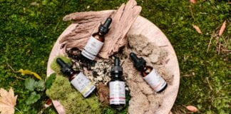 CBD & Delta-8 THC: What Are They and How Are They Different? pexels photo 3259600