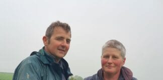 Pembrokeshire Dairy Farming Family Say NVZ Regulations Leave No Choice But To Reduce Herd use w pembrokeshire farming family