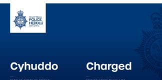 Bute Park Investigation – Man charged with rape 218659094 3048052815478628 1167366903922740145 n