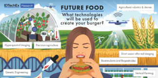 No lives at steak, IDTechEx Predicts How Your Food Will be Made in the Future Future Burger Graphic