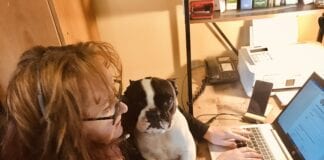 Ceredigion Citizens Advice: Rural Reach Citizens Advice Bases Homwworking CG scaled