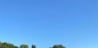 News from Harper Adams University: Aspiring Livestock Geneticist named as Harper Cymry/Royal Welsh Agricultural Society Student of the Year 2021 Luned