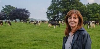 Gweinidog yn diolch i’r sector amaethyddol wrth i sioe rithwir Sioe Frenhinol Cymru ddechrau RuralAffairsMinister scaled
